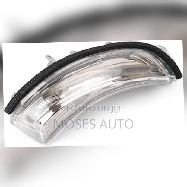 Wish Side Mirror Indicator Light
