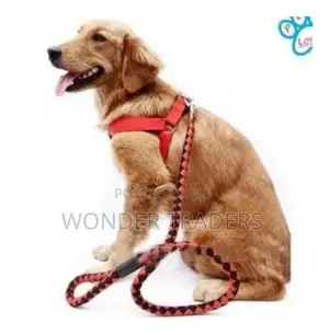 *Dog Lease*Dog Lease*Dog Lease