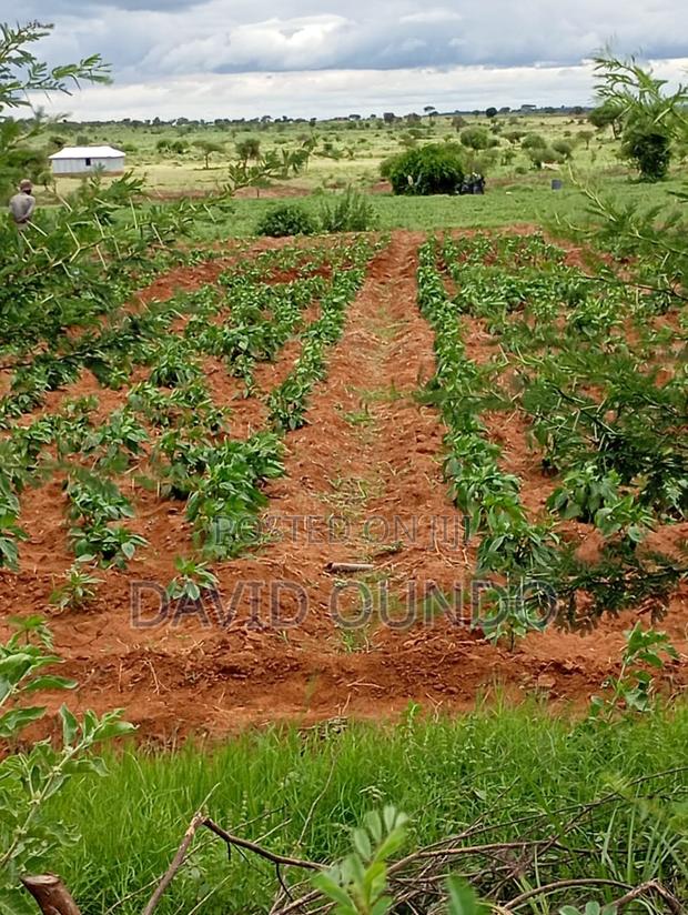 Ten Acres for Sale at Loitoktok - thumbnail 3