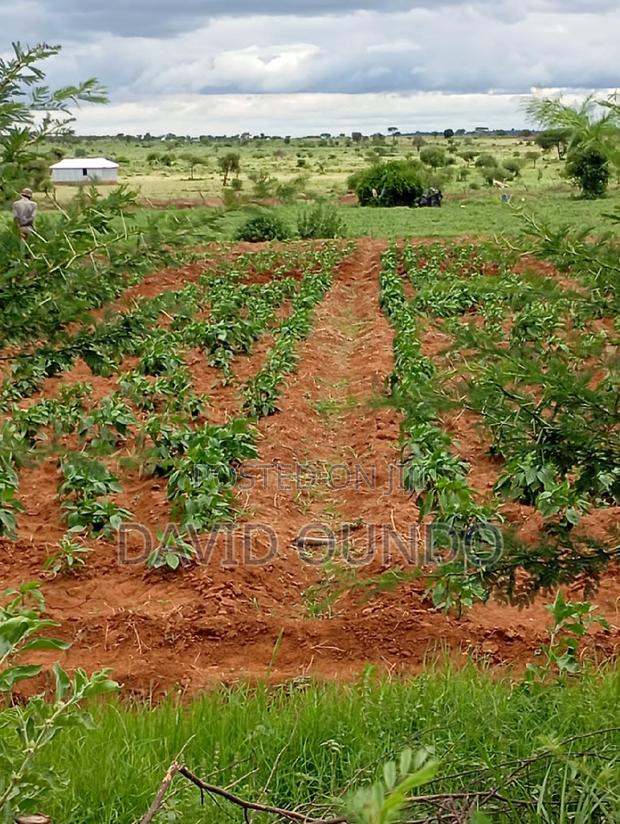 Ten Acres for Sale at Loitoktok - thumbnail 5