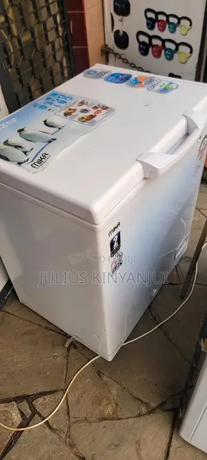 Deep Freezer 170L