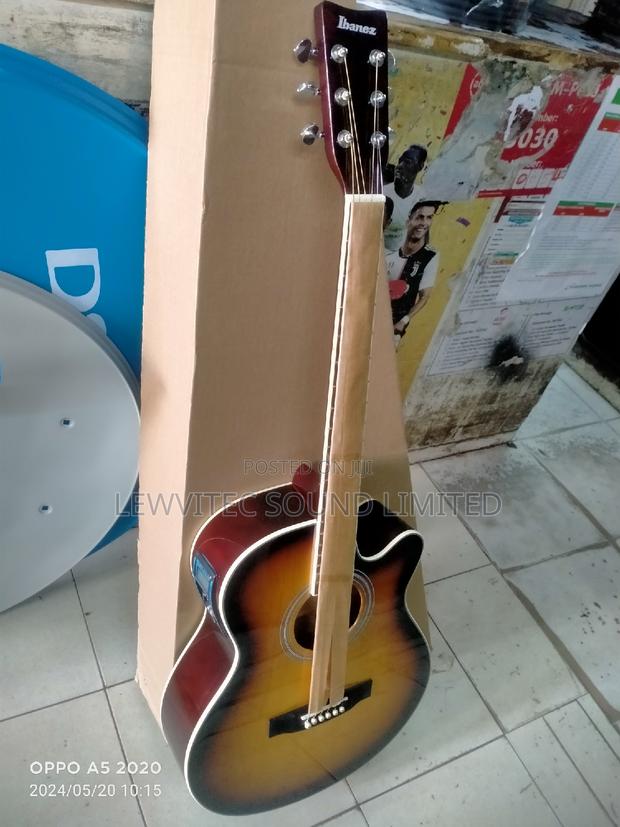 Beautiful Semi Acoustic Guitar