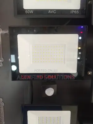 100w Floodlight (Velmax