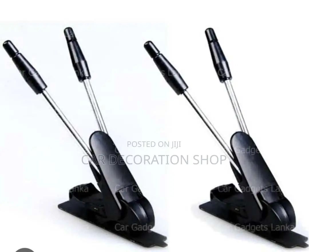 Double Decoration Antennae