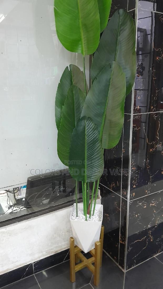 2m Banana Plant With Stand - main view