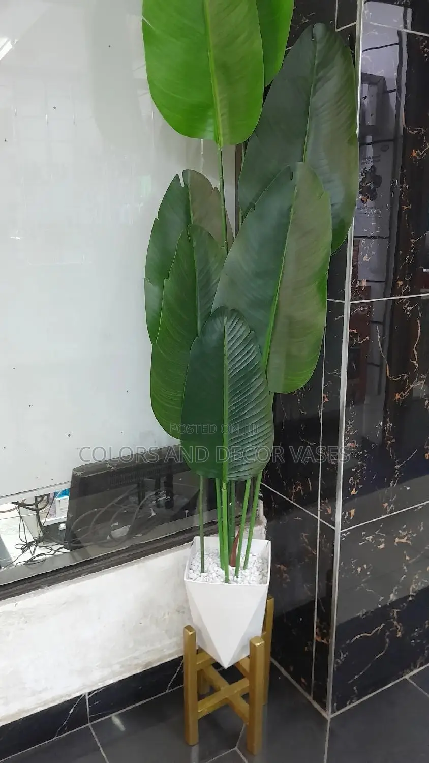 2m Banana Plant With Stand