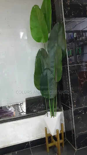 2m Banana, Vase and Stand