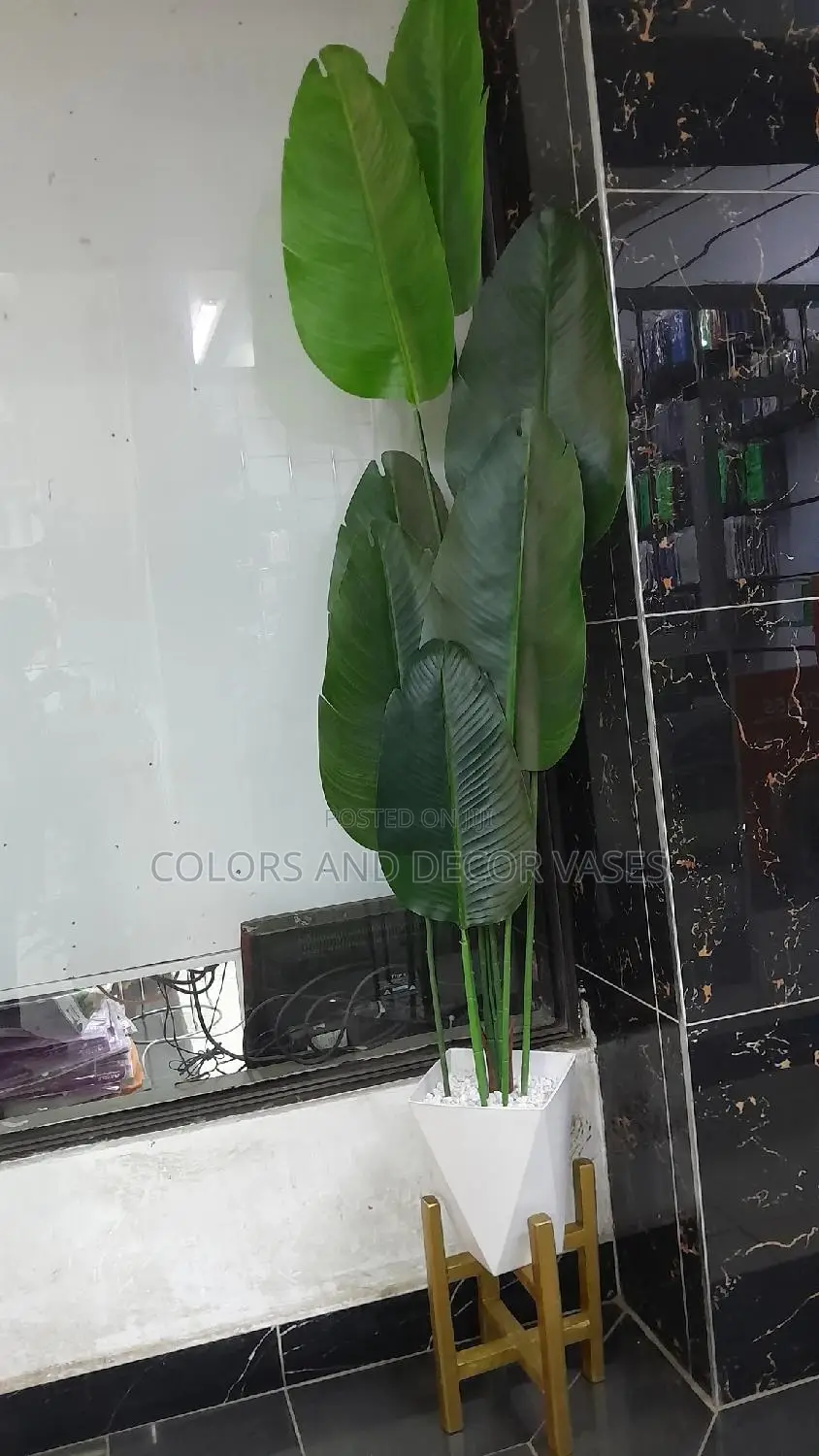 2m Banana, Vase and Stand