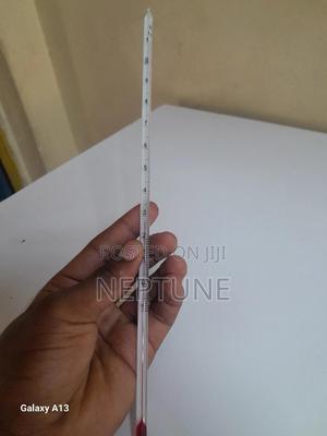 Thermometer - thumbnail 2