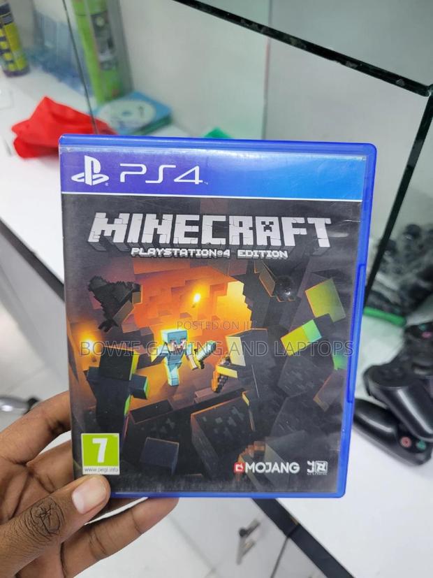 Minecraft PS4 Game - main view