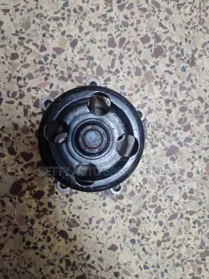Nissan X Trail Mr 20 Water Pump New Model