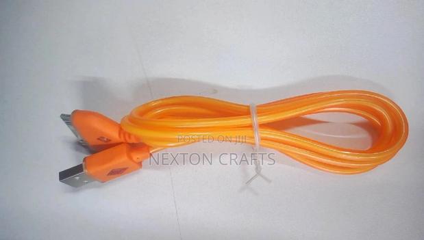 iPhone 4 Charging Cable - main view