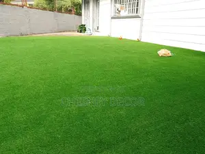 Artificial Grass Carpet Artificial Grass Carpet