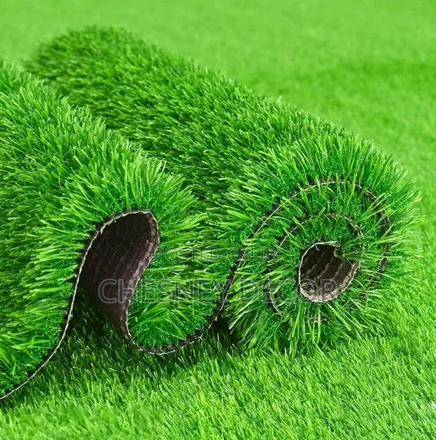 Turf Grass Turf Grass Turf Grass Turf Grass Turf Grass