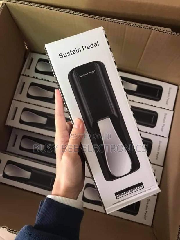 Heaavyy Spring Sustain Pedal - main view