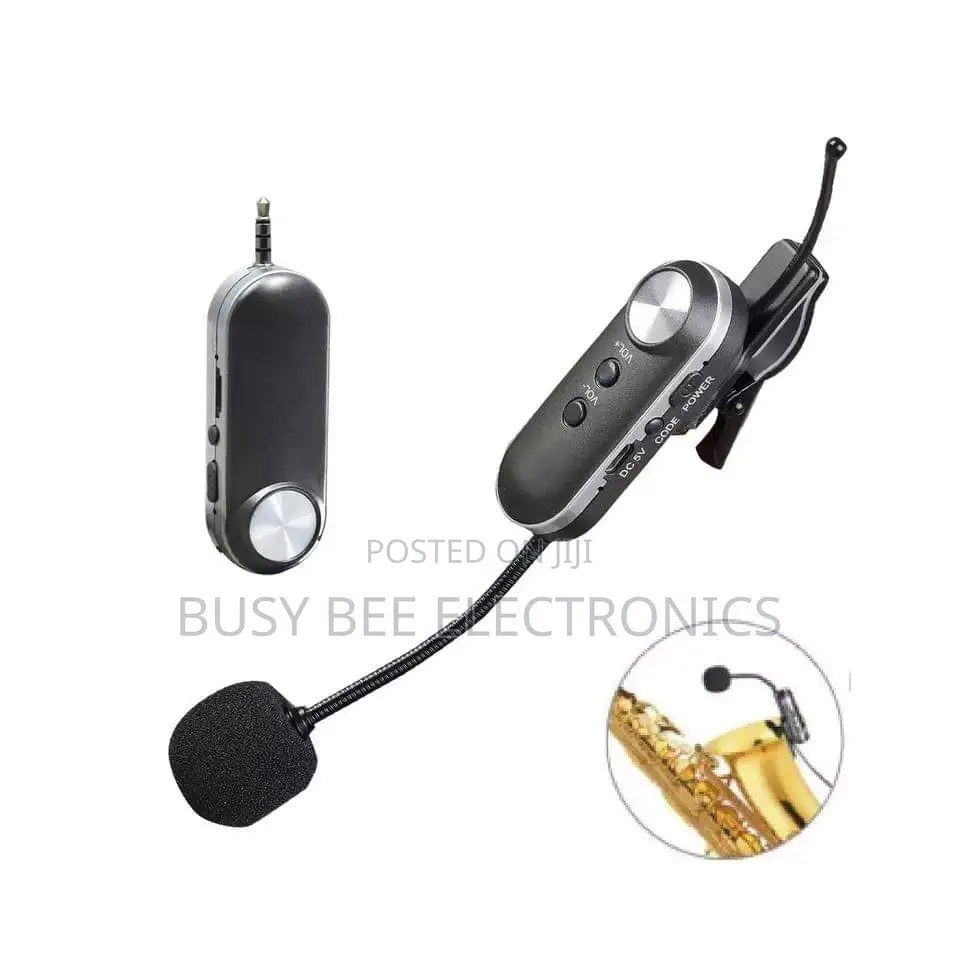 Instrument Wireless Microphone
