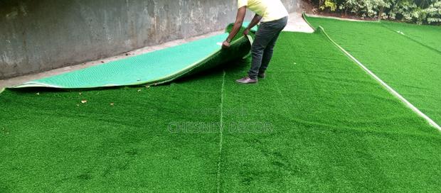 Artificial Grass Carpet Artificial Grass Carpet