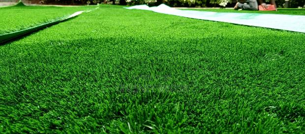 Grass Carpet Grass Carpet Grass Carpet Grass Carpet