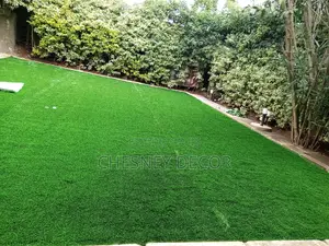 Artificial Grass Carpet Artificial Grass Carpet