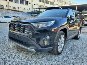 Toyota RAV4 XLE Premium AWD 2019 Black