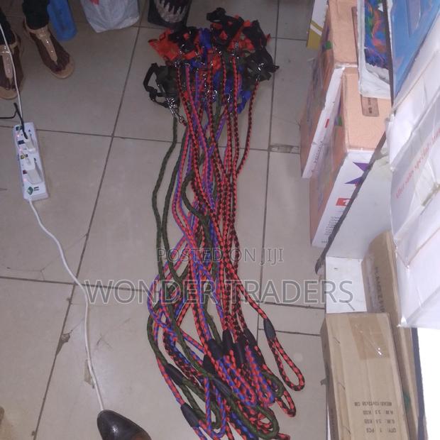 Dog Leash Dog Leash Dog Leash With Harness - main view