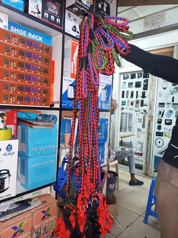 Dog Lease + With Harness - main view