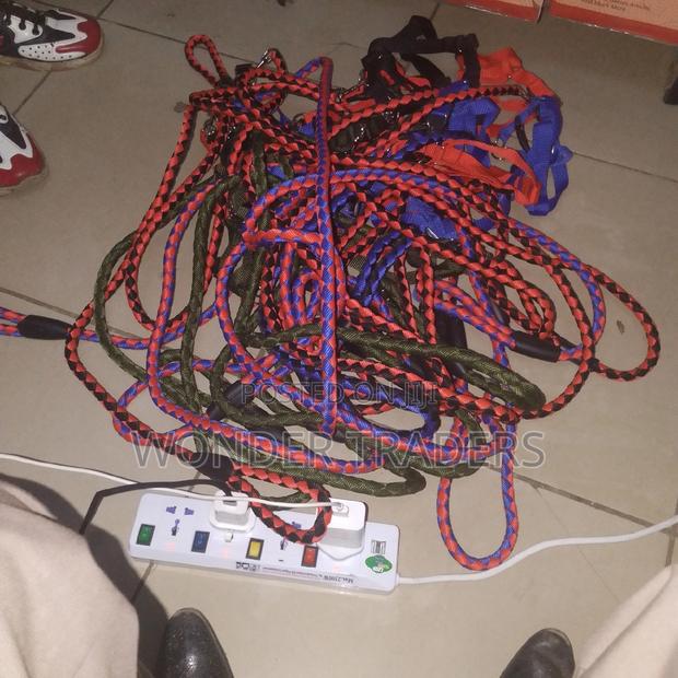 Dog Lease /Loop and Harness - main view