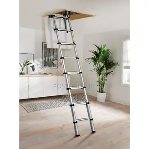 Telescopic Ladder Telescopic Ladder[ Telescopic Ladder
