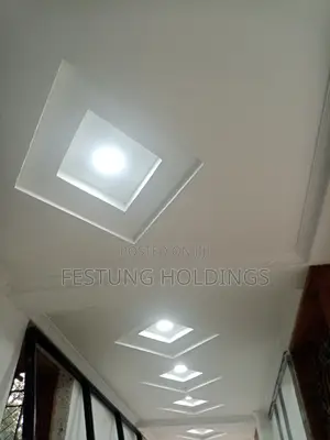 Ceilings Gypsum Installations