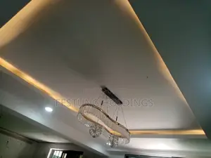Ceilings and Gypsum Works Services