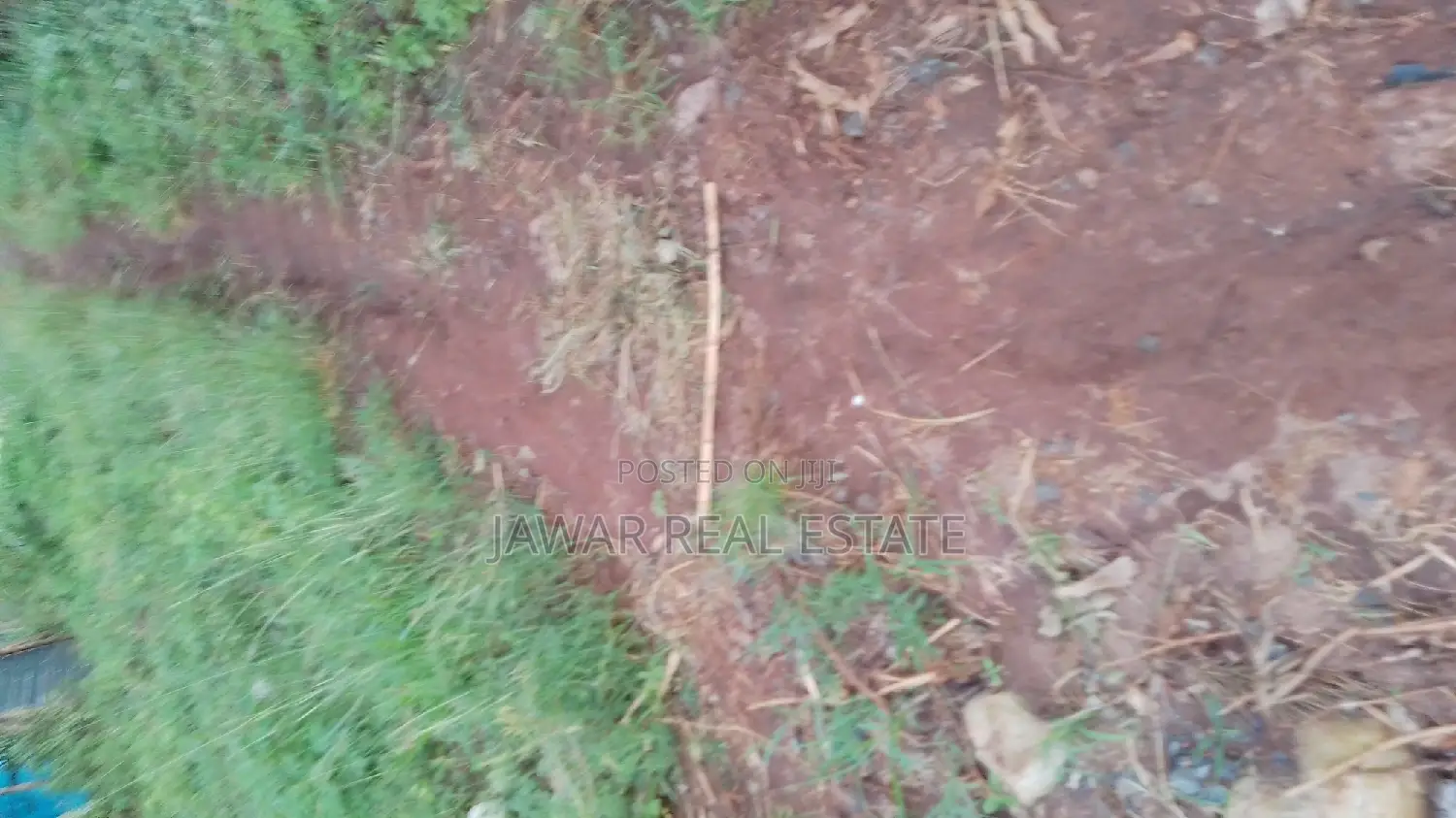 Plots for Sale in Makuyu Mugira Catholic