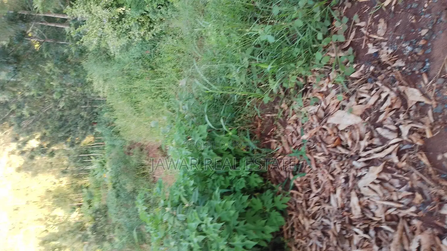Plots for Sale in Makuyu Mugira Catholic