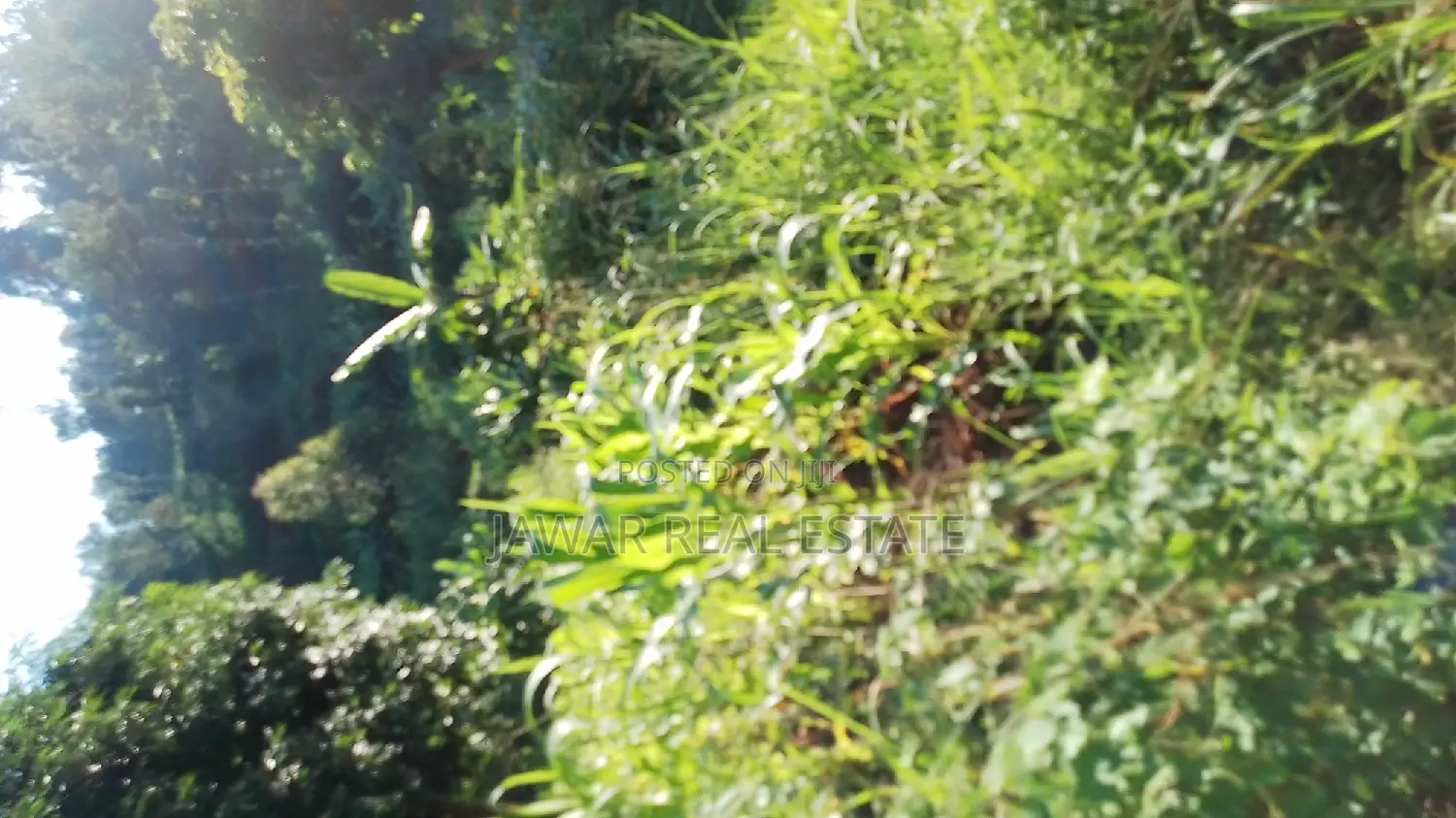 Plots for Sale in Makuyu Mugira Catholic