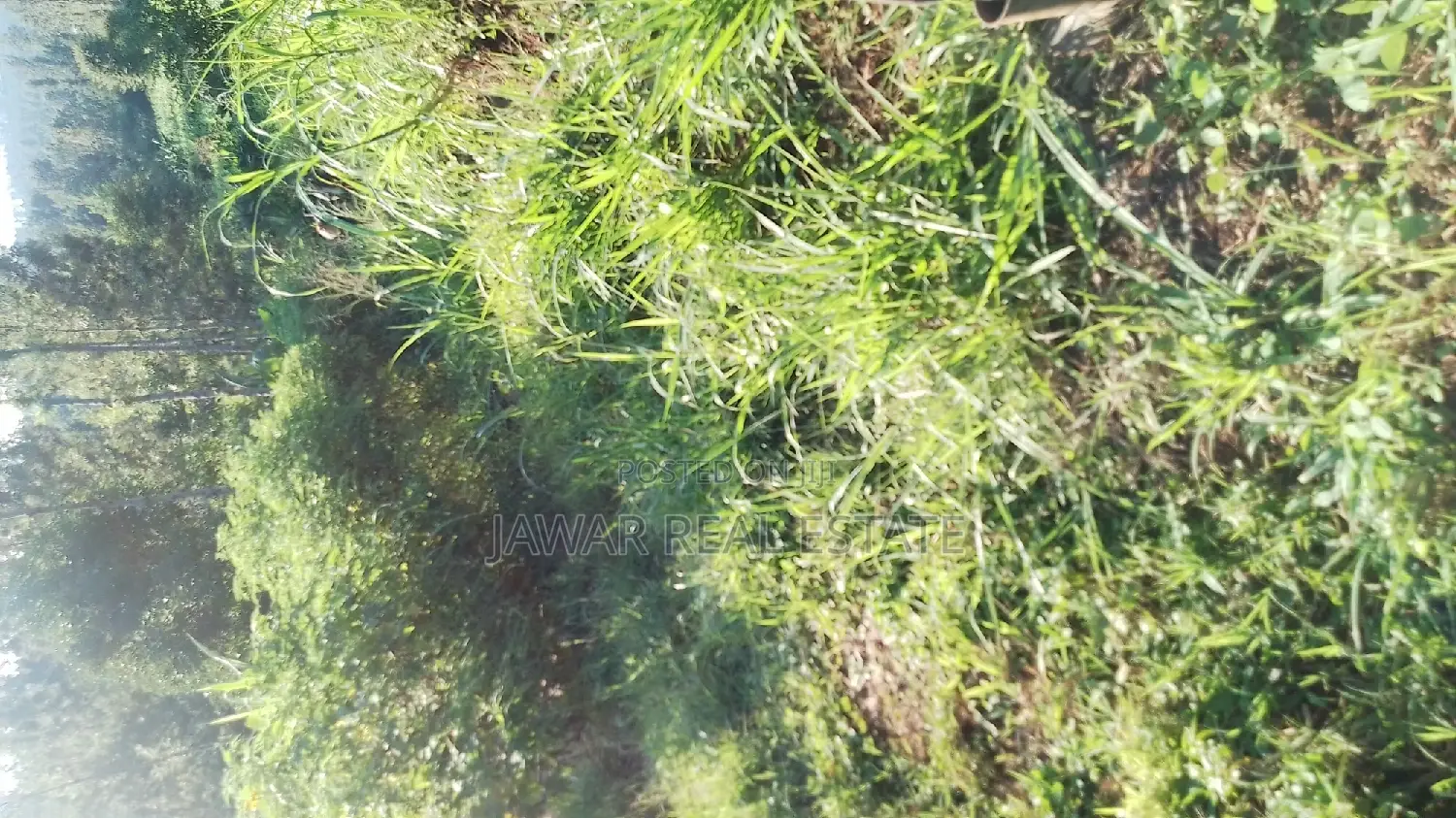 Plots for Sale in Makuyu Mugira Catholic