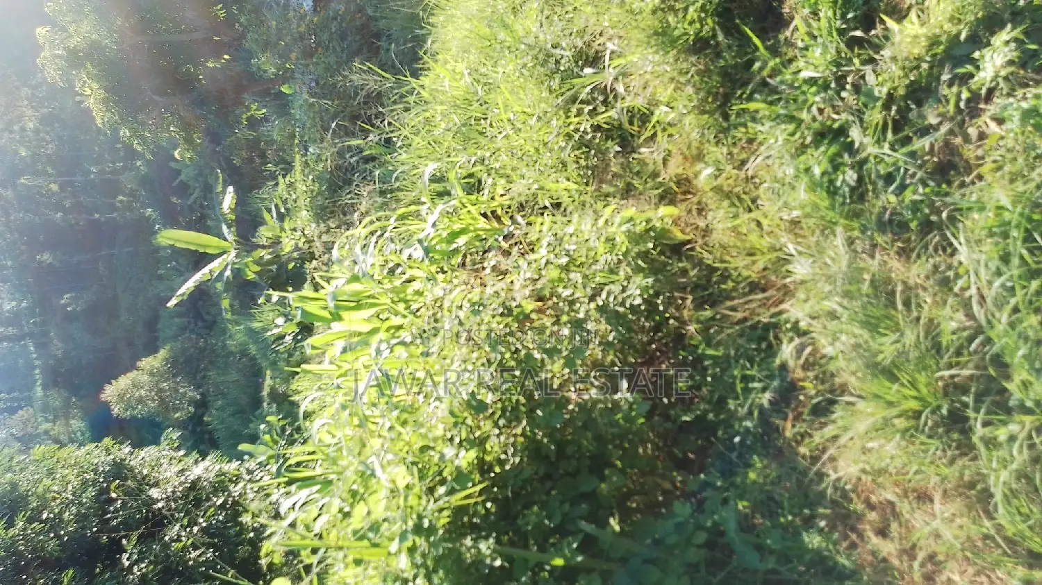 Plots for Sale in Makuyu Mugira Catholic