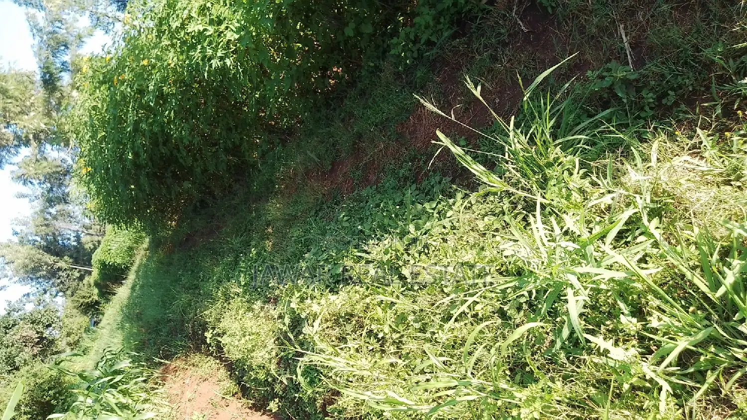 Plots for Sale in Makuyu Mugira Catholic