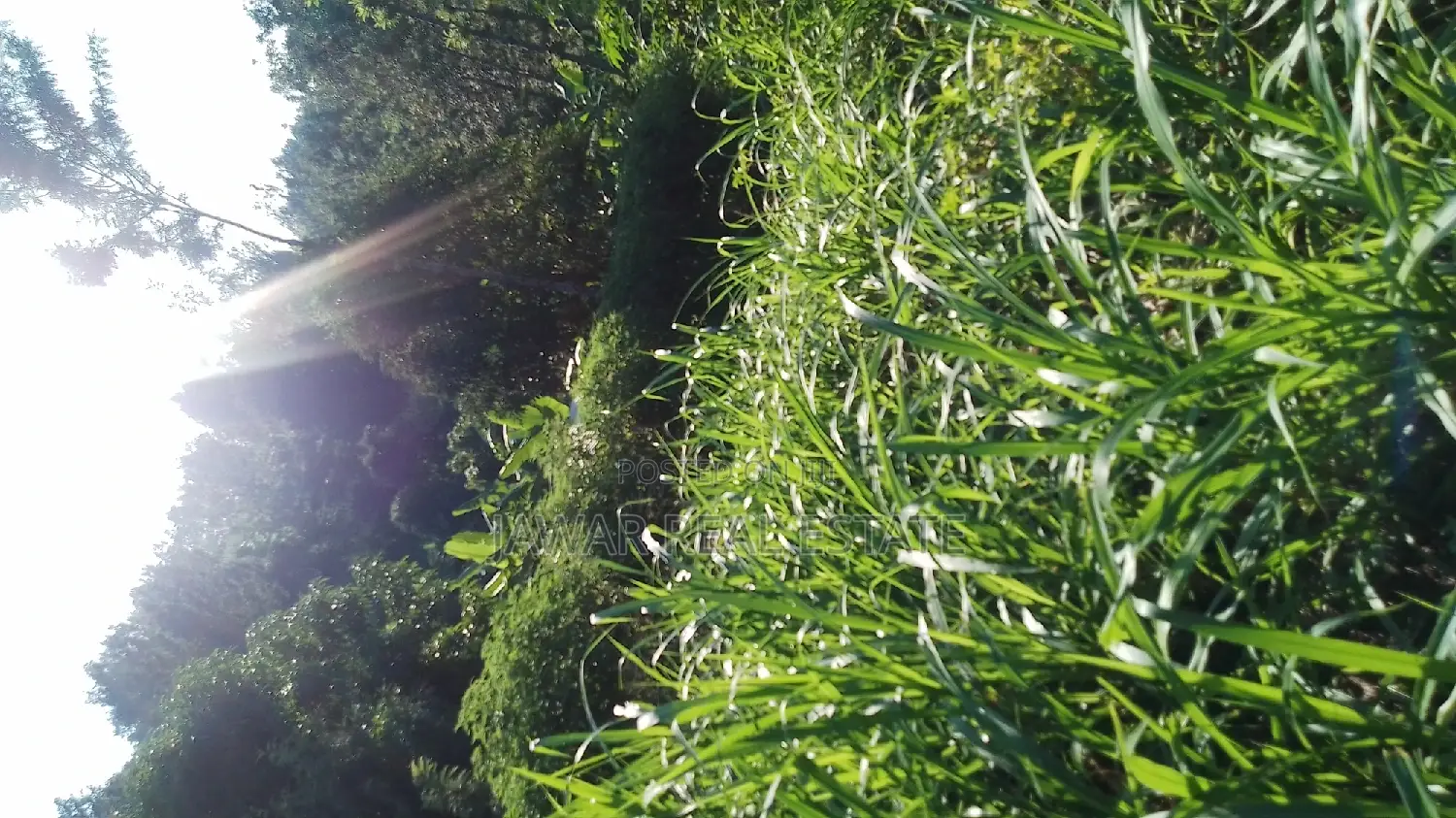 Plots for Sale in Makuyu Mugira Catholic