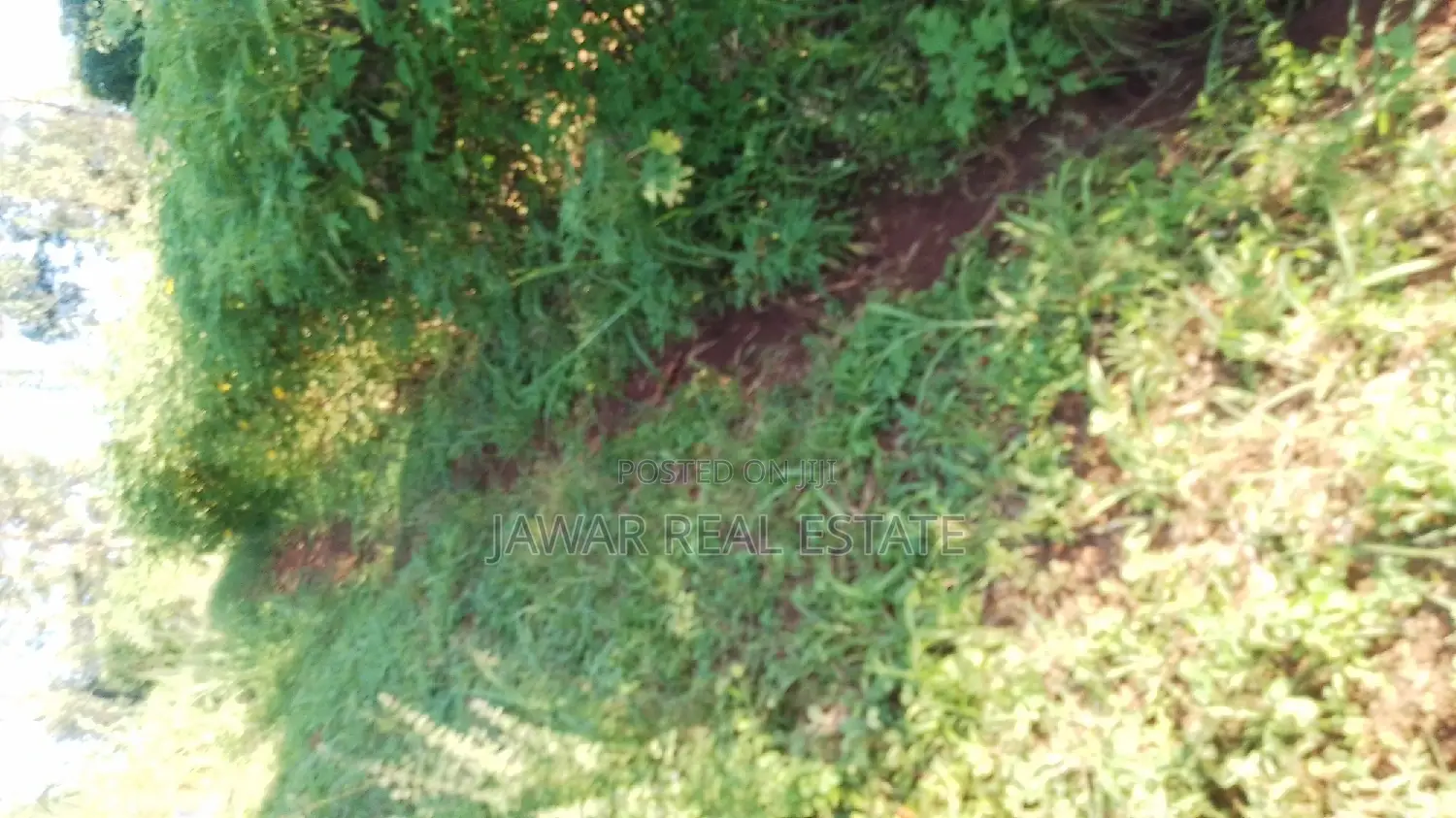 Plots for Sale in Makuyu Mugira Catholic