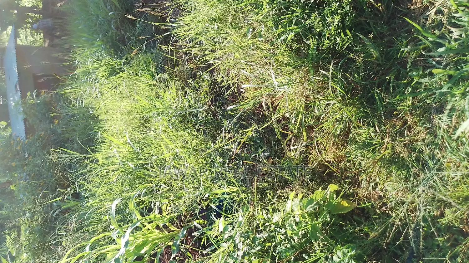 Plots for Sale in Makuyu Mugira Catholic
