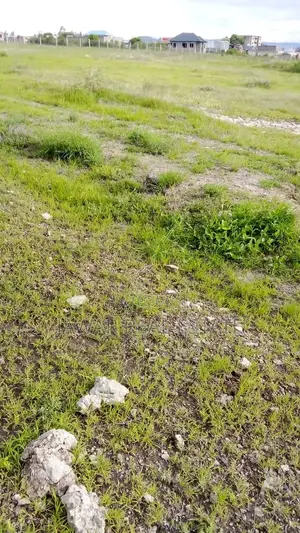 Plot for Sale in Juja Juja Farm