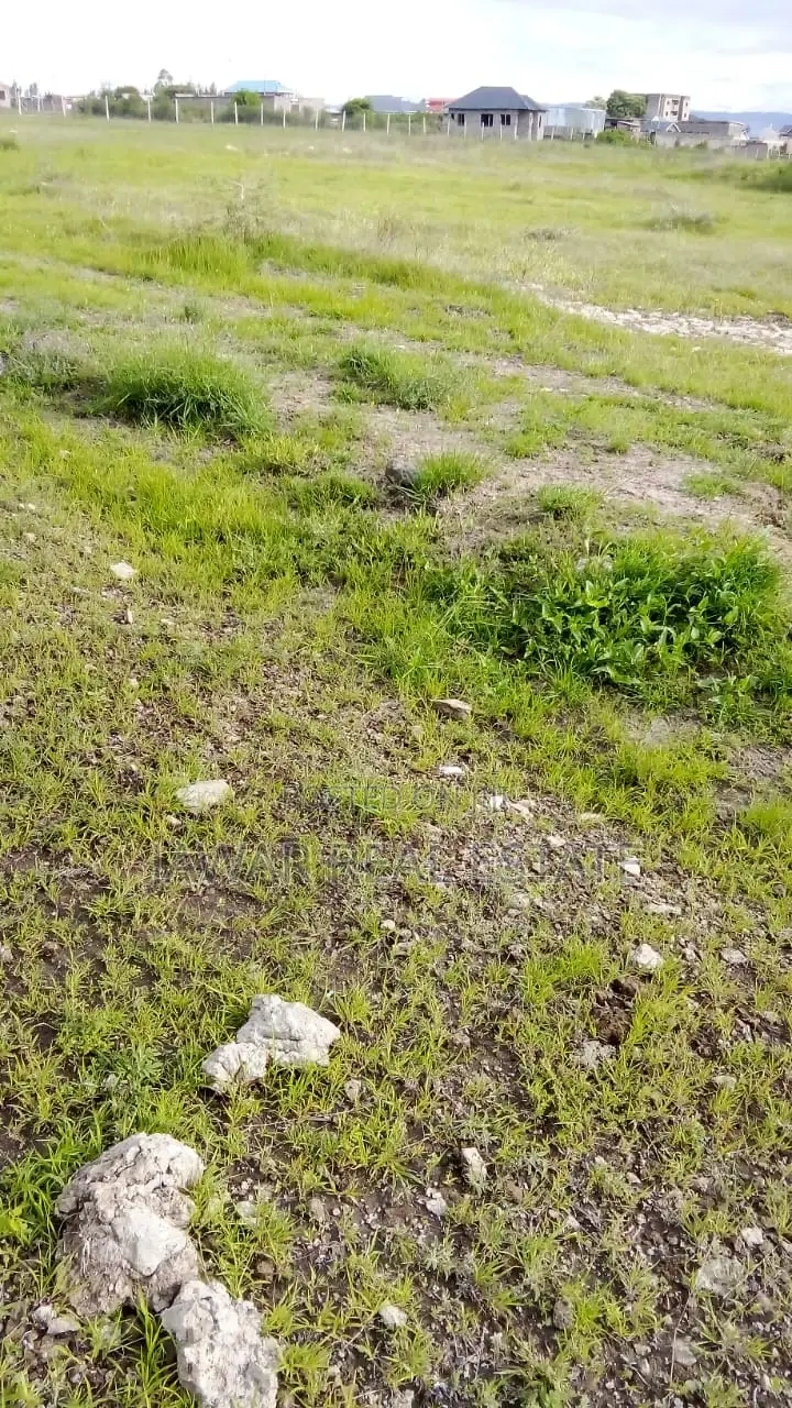 Plot for Sale in Juja Juja Farm