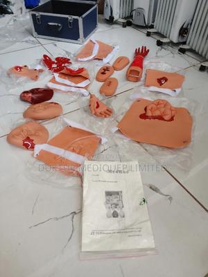 Advanced Trauma Evaluation Model - main view