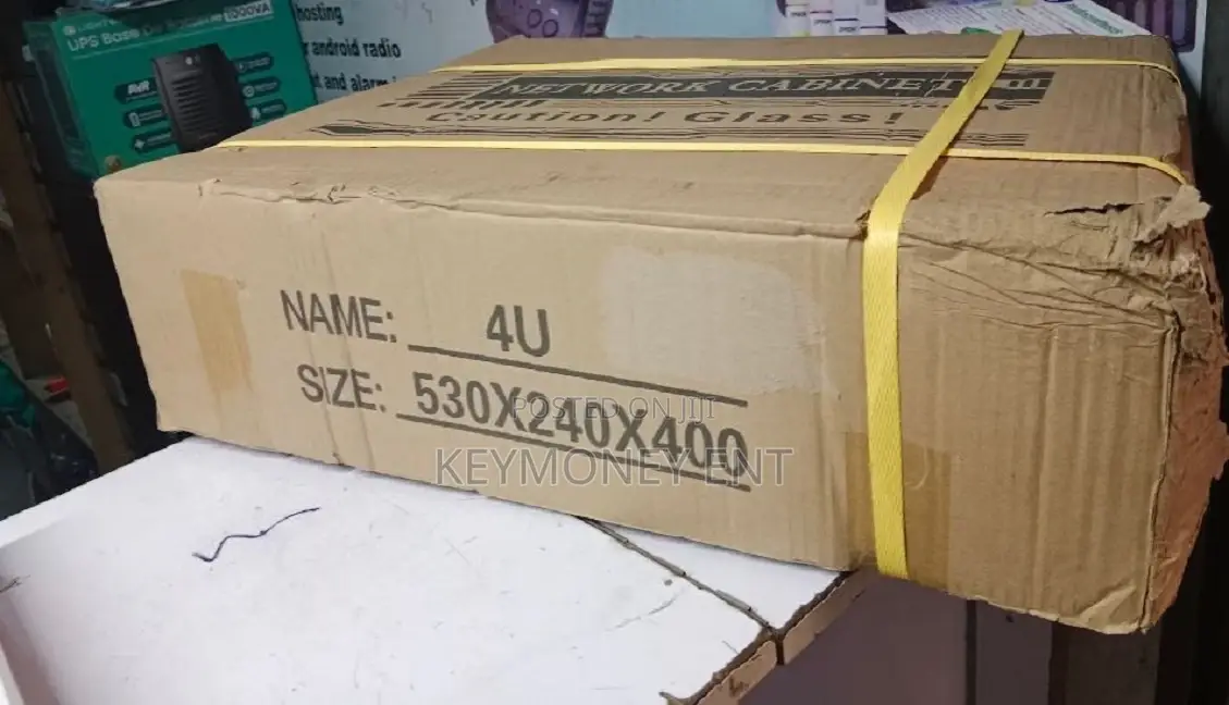 Black 4U CCTV/Network Cabinet
