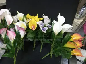Lilies KSH 500 a Bunch