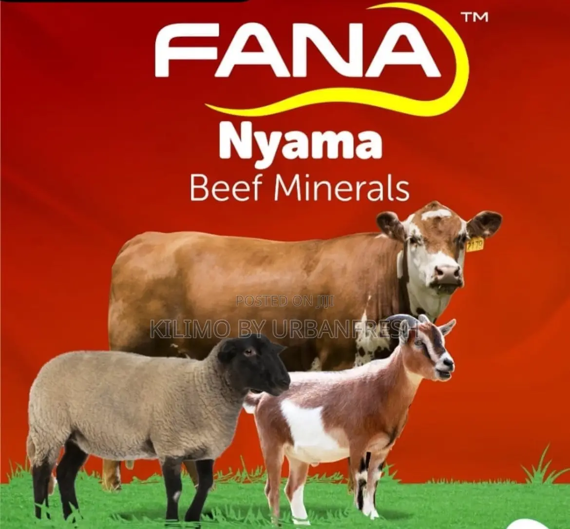 Fana Nyama Beef Minerals Salts 25kgs