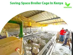 Special Broiler Cages(3tiers) in Kenya Ruiru Saves Spaces