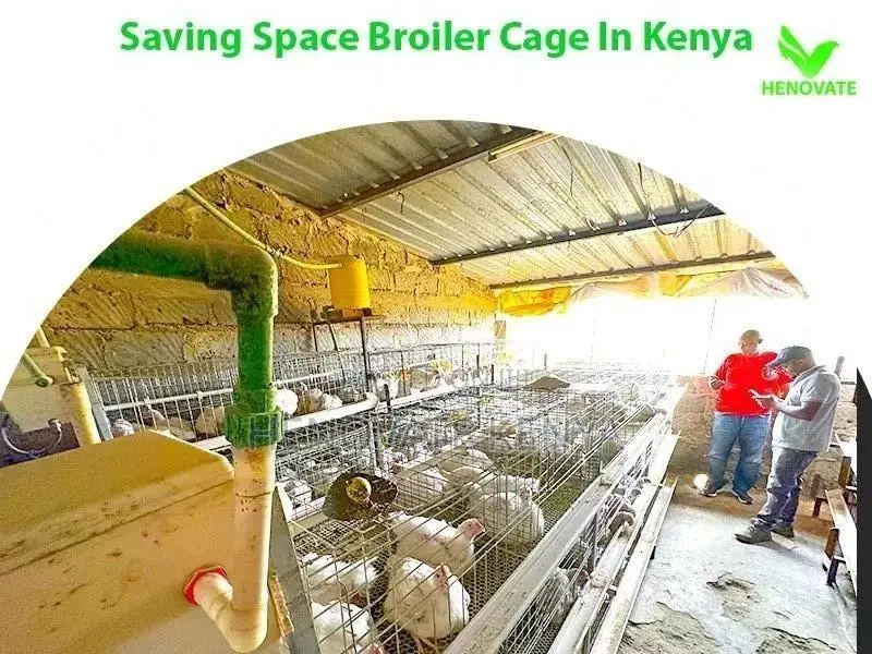 Special Broiler Cages(3tiers) in Kenya Ruiru Saves Spaces