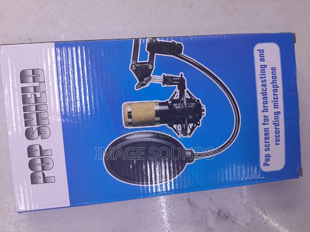 Pop Screen for Recording Mics - thumbnail 2
