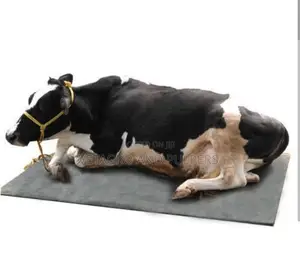 Eva Sheets (Cow Mattress)