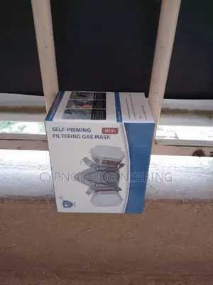 House Renovation Safety Mask